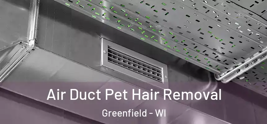  Air Duct Pet Hair Removal Greenfield - WI