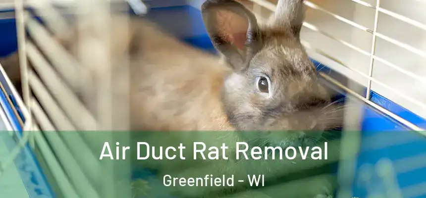 Air Duct Rat Removal Greenfield - WI