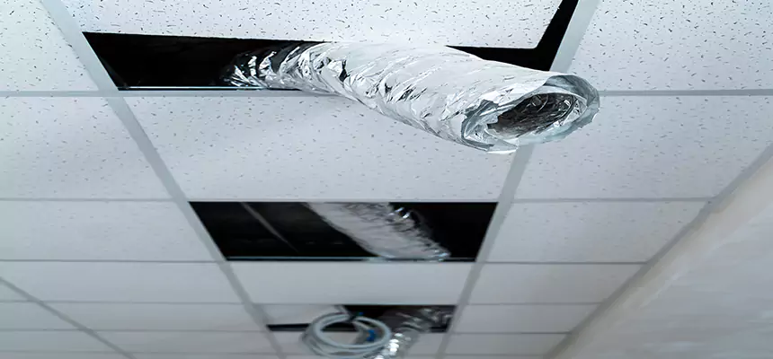 Our Air Duct Pet Hair Removal Services in Greenfield, WI