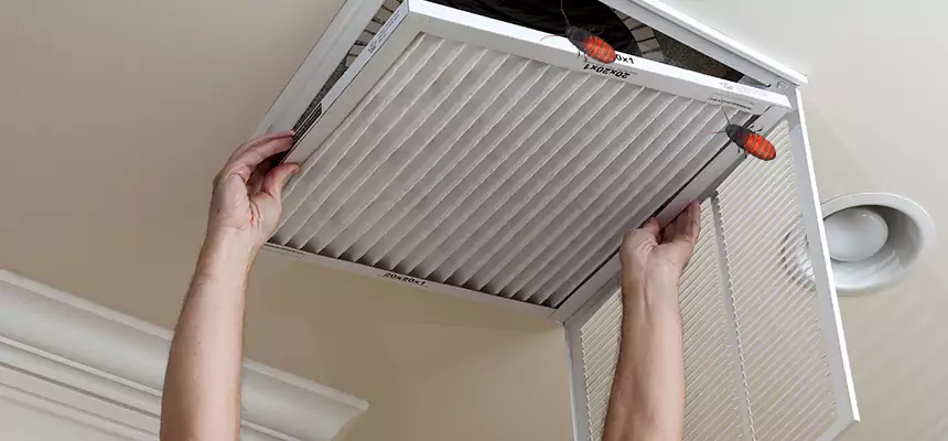 Our Insect Removal from Air Ducts Services in Greenfield, WI