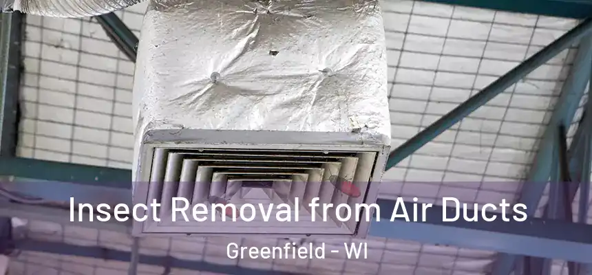 Insect Removal from Air Ducts Greenfield - WI