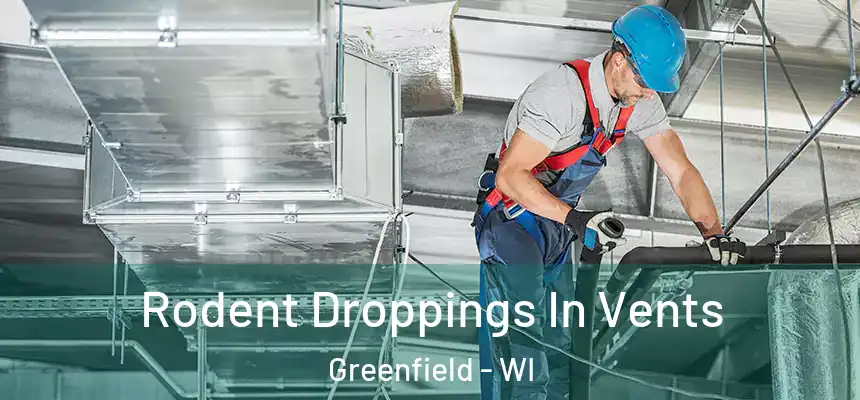  Rodent Droppings In Vents Greenfield - WI