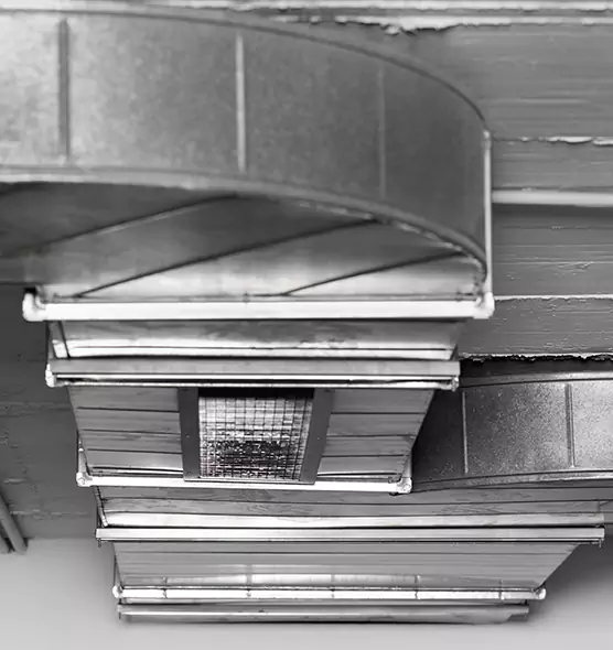 Professional Air Duct Pest Removal in Greenfield, WI