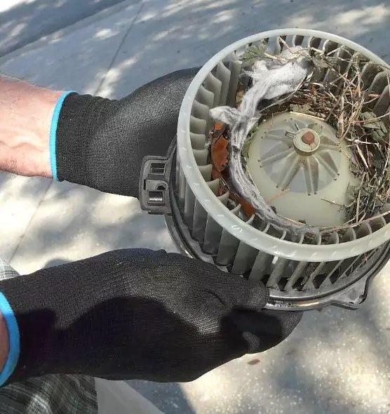 About Air Duct Rat Removal in Greenfield, WI