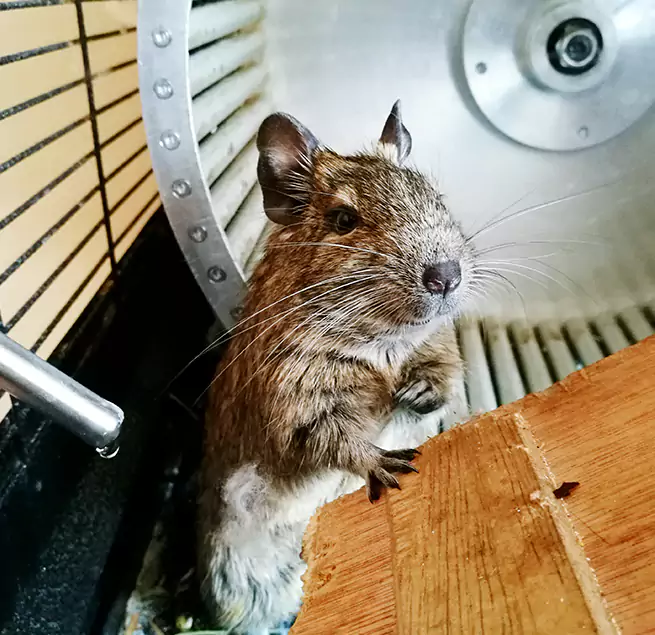 Why Homeowners & Businesses Trust Us Greenfield, WI